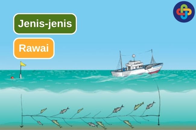 Mengenal 6 Ragam Jenis Rawai untuk Menangkap Ikan